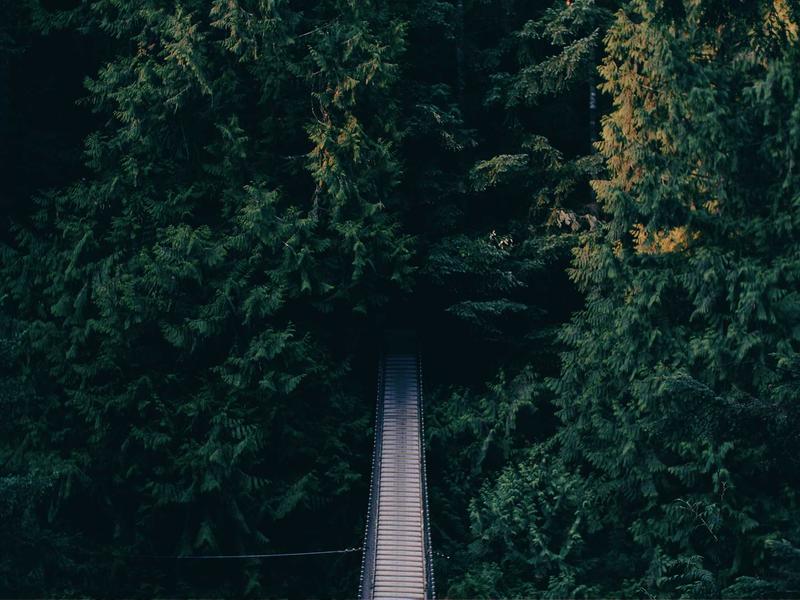 数字多媒体技术在企业展厅中的应用