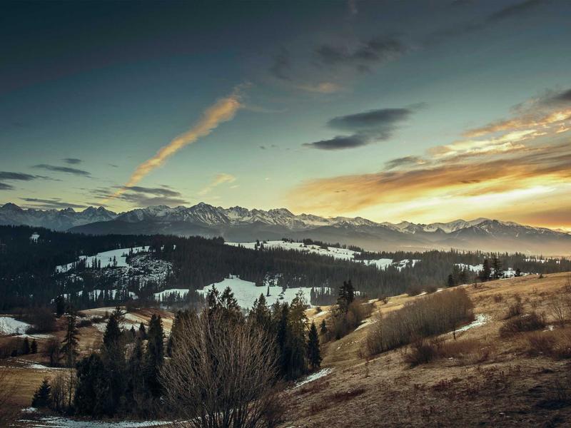 全息投影技术在文化展览中的应用与实践