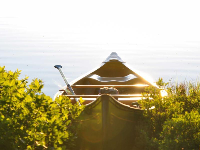 三维动画技术在产品展示中的创新应用